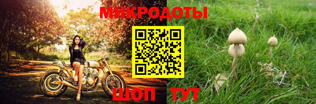 Псилоцибиновые грибы MAGIC MUSHROOMS Владивосток