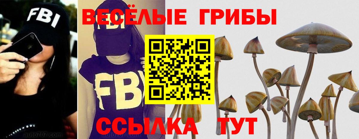 Галлюциногенные грибы Cubensis  Вход с VPN  Псилоцибиновые грибы Psilocybine cubensis  Владивосток 